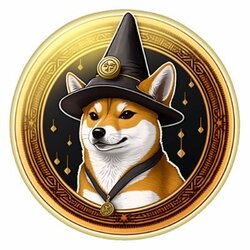 Magic Shiba Starter